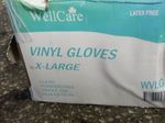 Well Care Vinyl Gloves