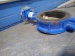 Tomoe Butterfly Valve