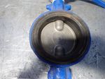 Tomoe Butterfly Valve