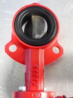 Bray Butterfly Valve