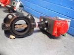 Triad Actuator Butterfly Valve
