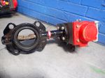 Triad Actuator Butterfly Valve