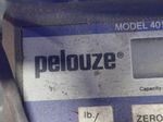 Pelouze Scale