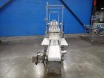 Friesens Inc Boxing Conveyor