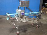 Safeline Metal Detector And Conveyor