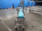 Safeline Metal Detector And Conveyor
