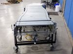 Best Flex Electric Roller Conveyor