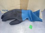 Mapa Gloves
