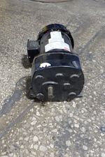 Dayton Ac Gear Motor