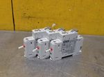 Allenbradley Allenbradley 3a Circuit Breaker Lot