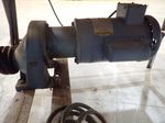 Randall Strap Cutter