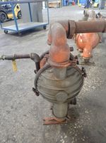 Wilden Diaphragm Pump