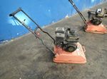 Central Machinery Plate Compactor
