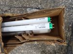 Philips Fluorescent Bulbs