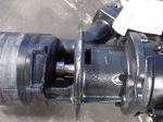 Brinkmann Pumps Pump