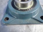 Dodge Roller Bearing