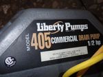 Liberty Pumps Drain Pump