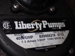 Liberty Pumps Drain Pump