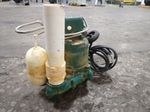 Zoeller Drain Pump