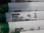 Philipssylvania Fluorescent Lamps