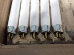 Sylvania Fluorescent Lamps