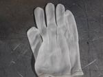 Pip Nylon Gloves