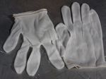 Pip Nylon Gloves