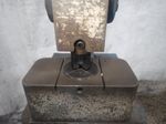 Wa Whitney Punch