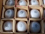 Sylvania Incandescent Light Bulbs