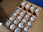Sylvania Incandescent Light Bulbs