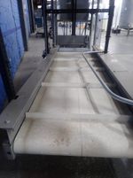 Emi Box Fill Conveyor