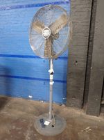 Patton Pedestal Fan