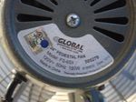 Global Pedestal Fan