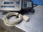 Avery Weight Scale
