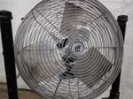 Tpi Pedestal Fan