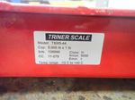 Triner Scale