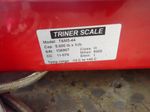 Triner Scale