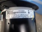 Source Motor