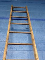  Wood Extension Ladder