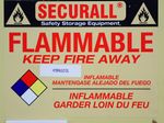 Securall Safety Storage Cabinet For Flammable Liquids