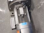 Seweurodrive Gear Motor