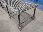 Bestflex  Accordion Conveyor