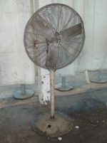  Assorted Pedestal Fan