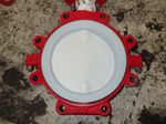 Bray Butterfly Valve