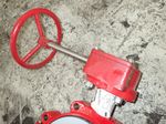 Bray Butterfly Valve