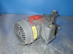 Nikuni Pump