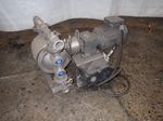 Graco Double Diaphragm