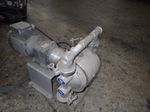 Graco Double Diaphragm