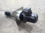 Brinkmann Pumps Pump