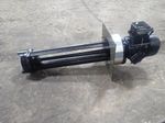 Brinkmann Pumps Pump